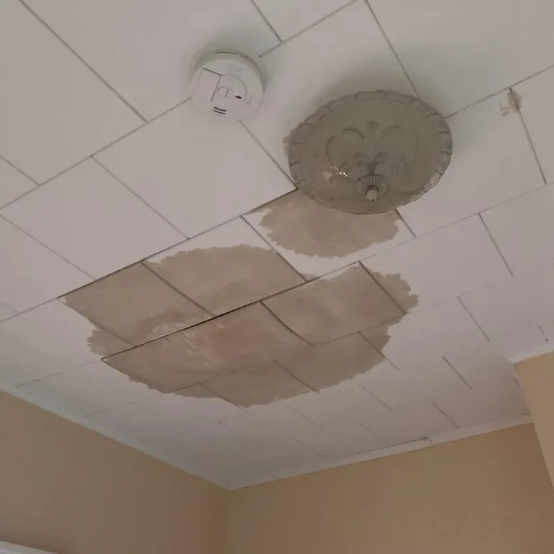 Ceiling Water Damage Repair in Piedmont, MO